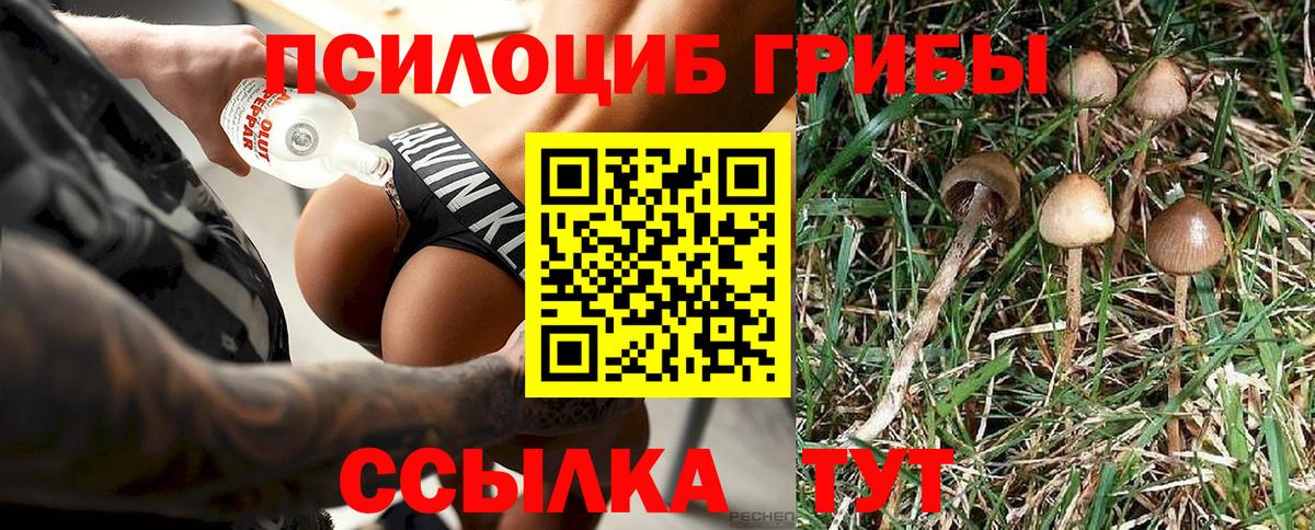 Десногорск  Псилоцибиновые грибы MAGIC MUSHROOMS  Галлюциногенные грибы GOLDEN TEACHER  где купить наркотик  Вход с VPN 